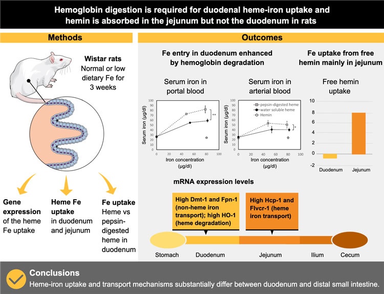 Real Examples of Graphical Abstracts