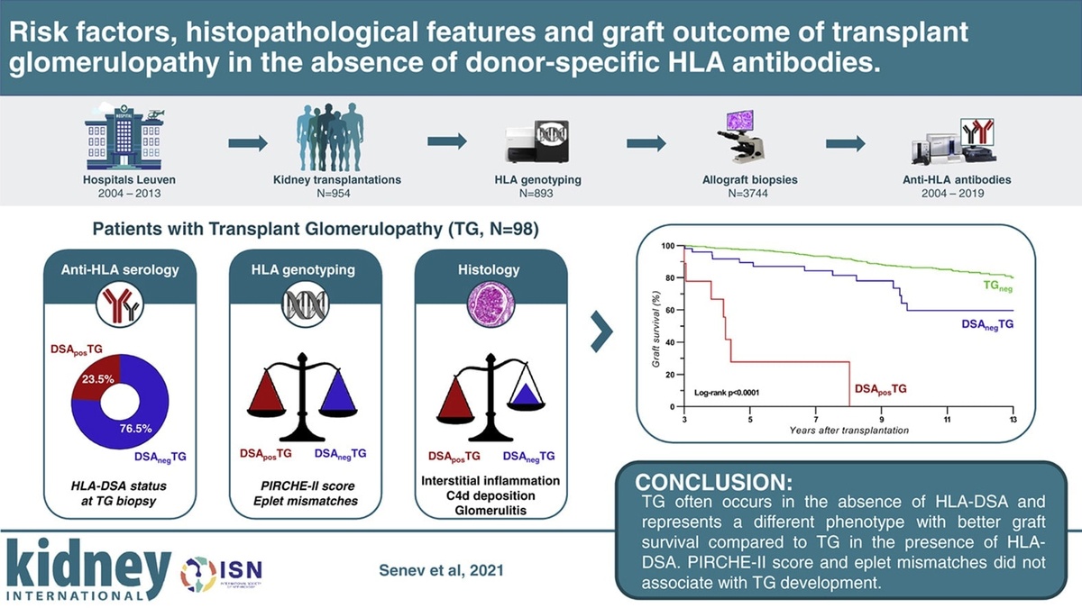 Real Examples of Graphical Abstracts